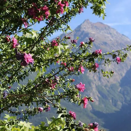 Relax * Aosta